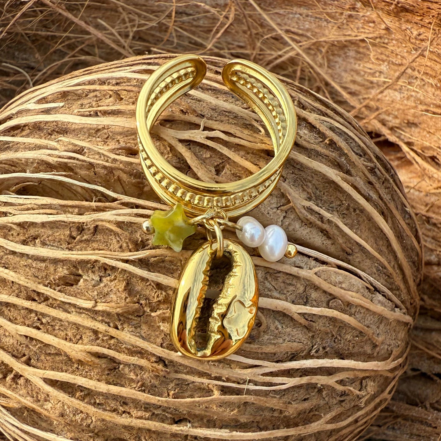 The Seychelles Ring