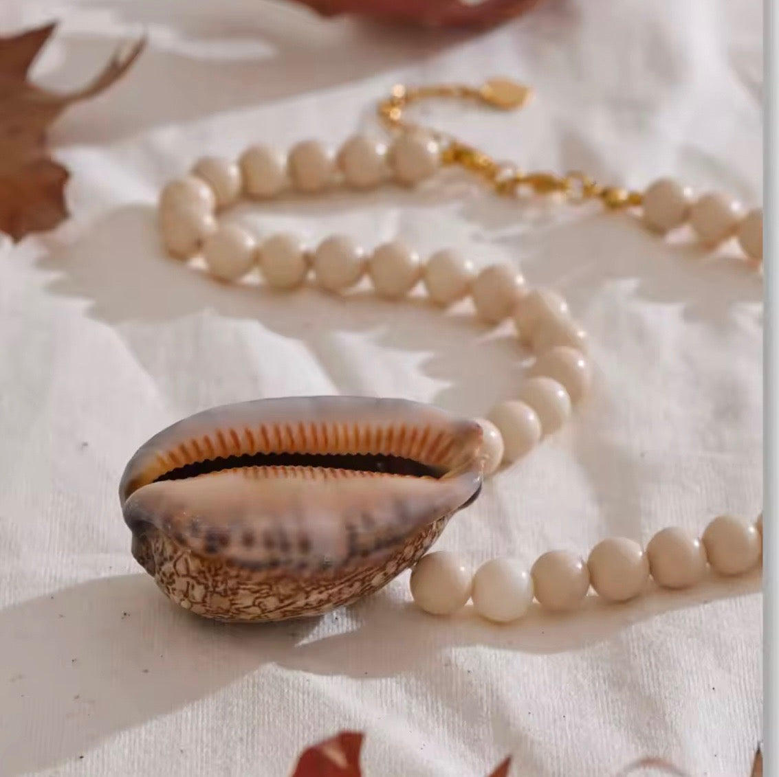Natural Cowrie Pendant Necklace