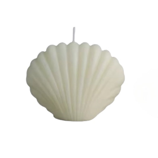 Shell Candle