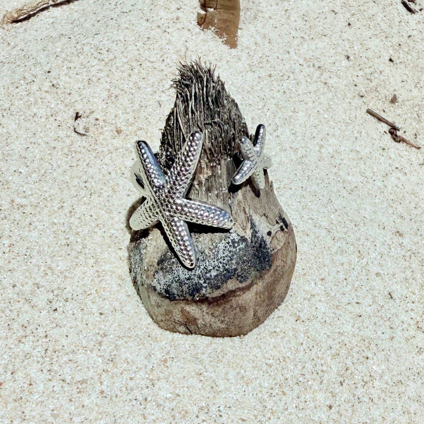Silver Reef Star Ring