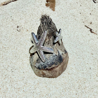 Silver Reef Star Ring
