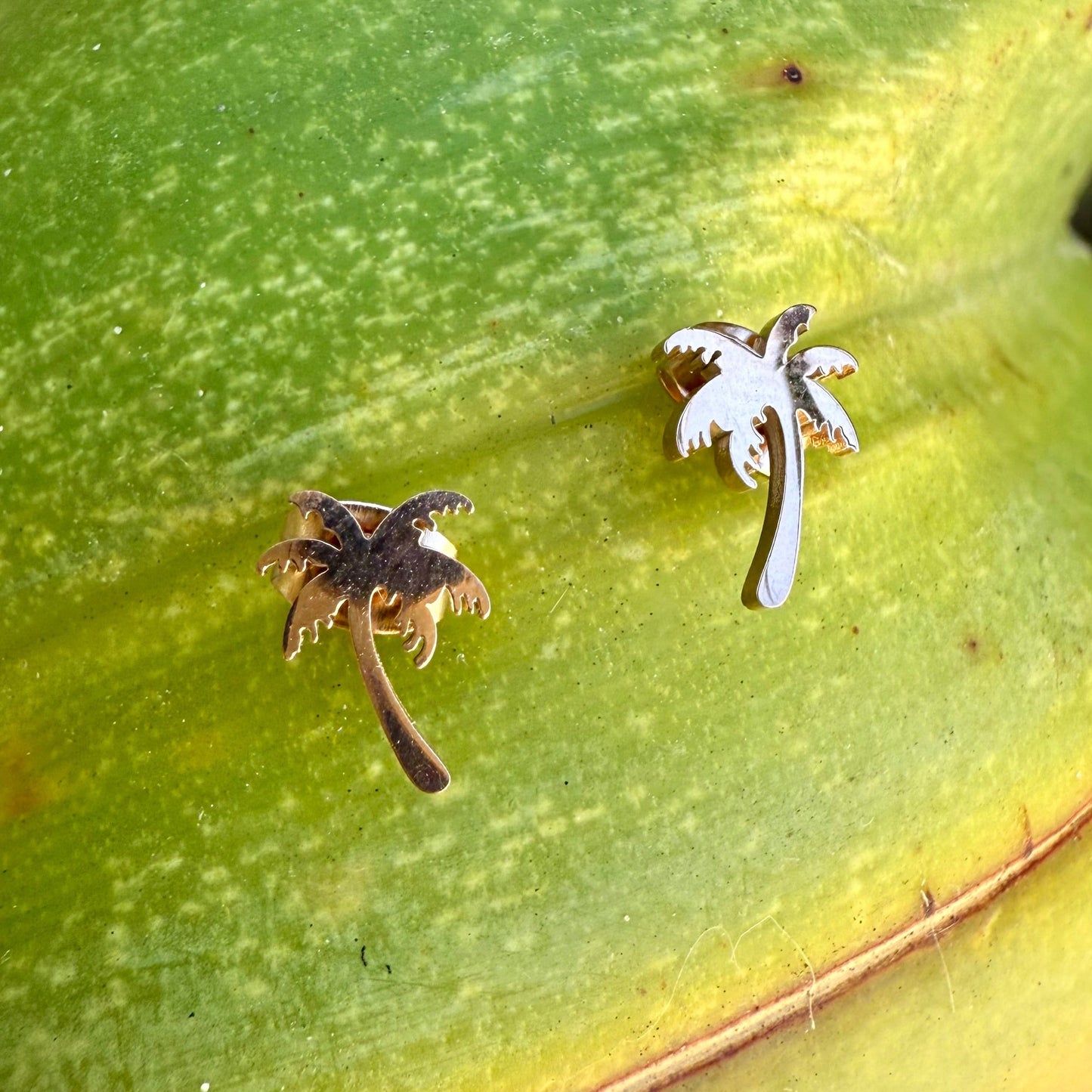 Palm Bay Mini Studs