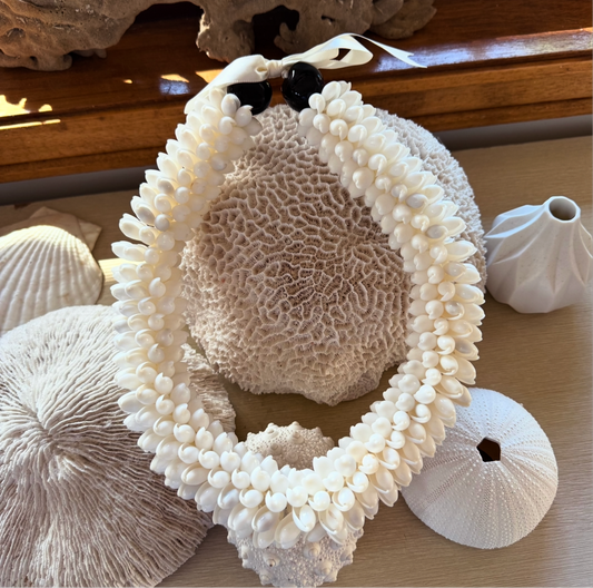 Maui Shell Necklace