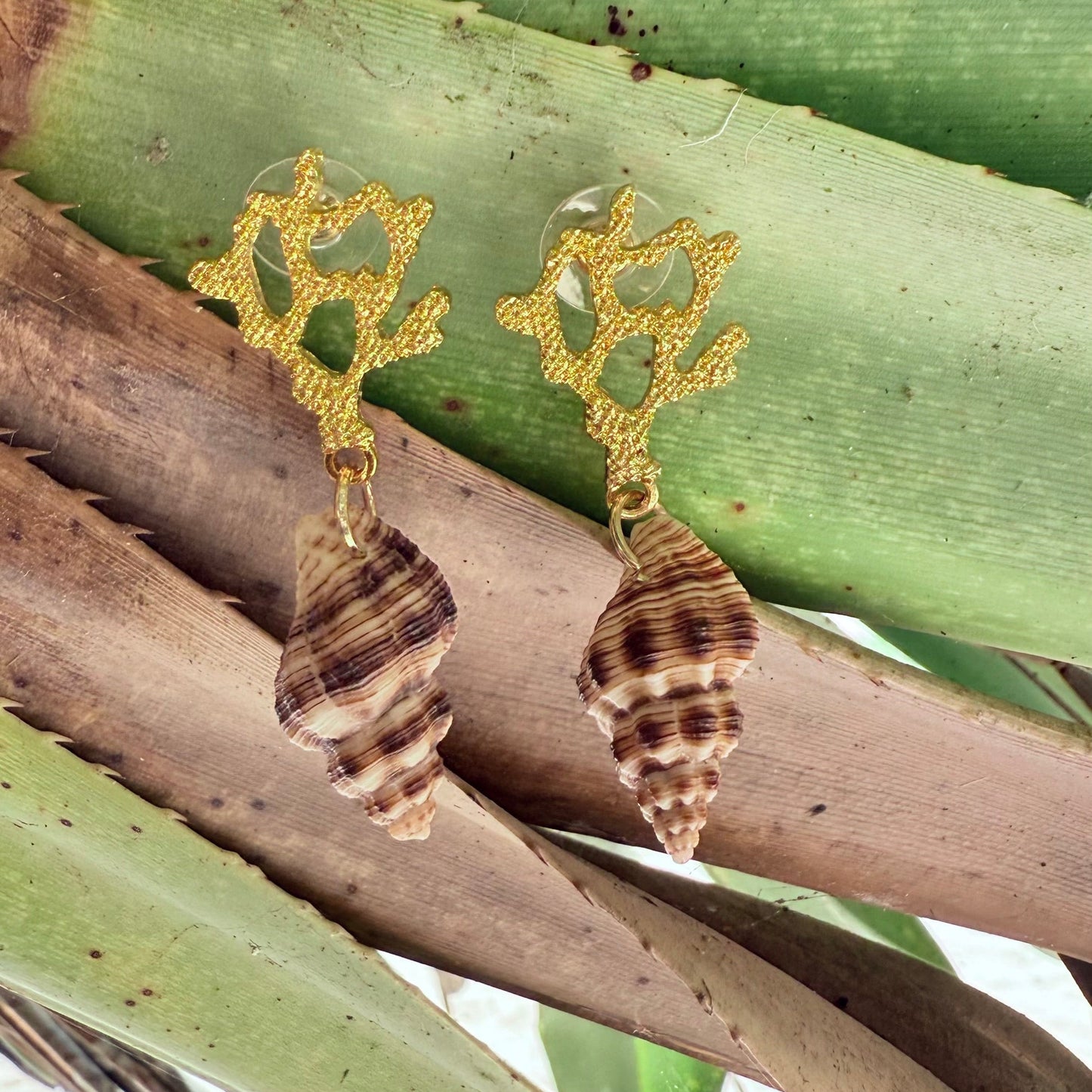 Coral Tide Shell Earrings