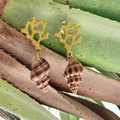 Coral Tide Shell Earrings
