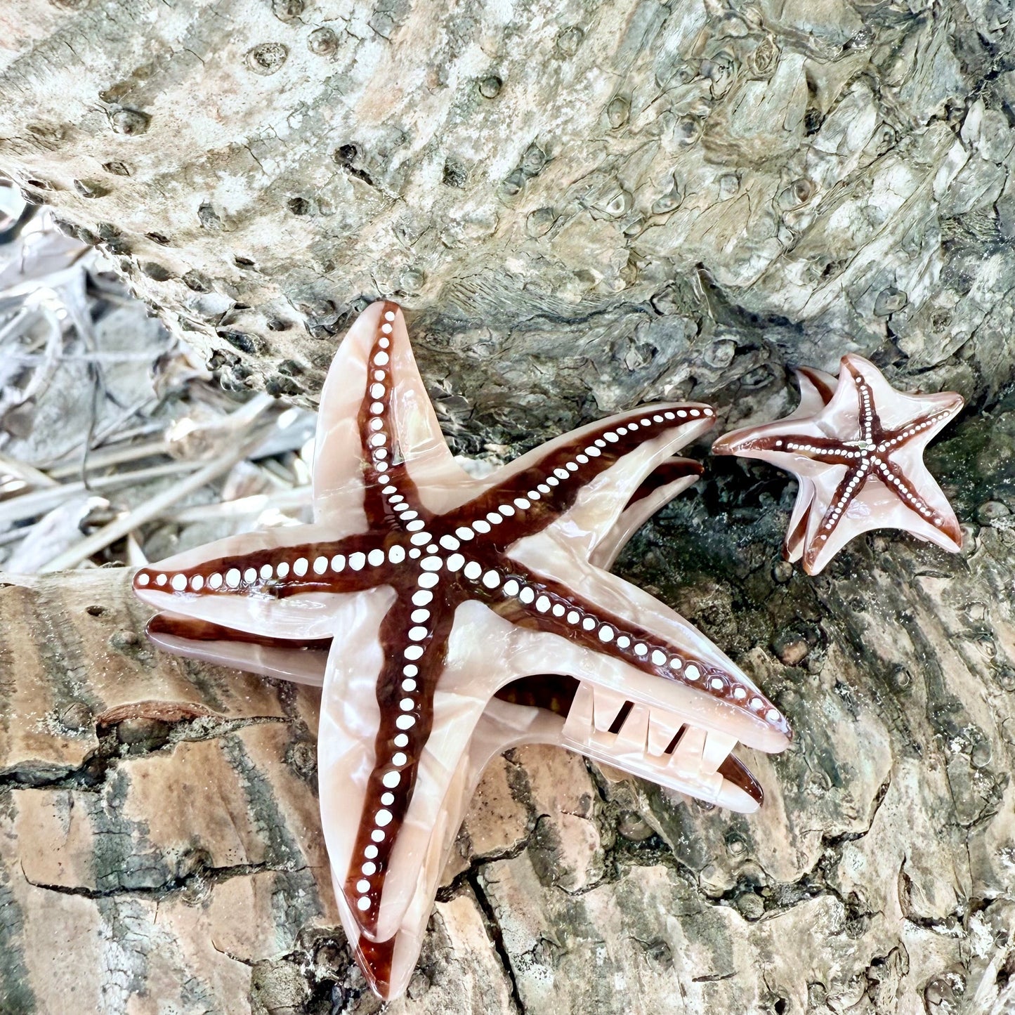 Starfish Hair Clip Large