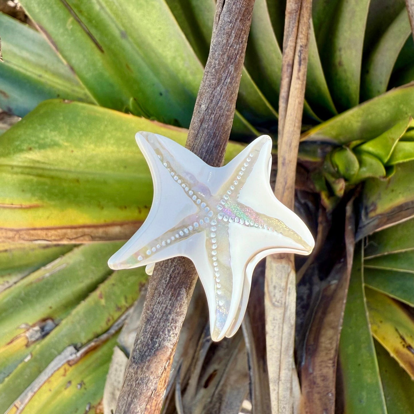 Starfish Hair Clip Large