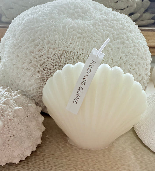 Shell Candle