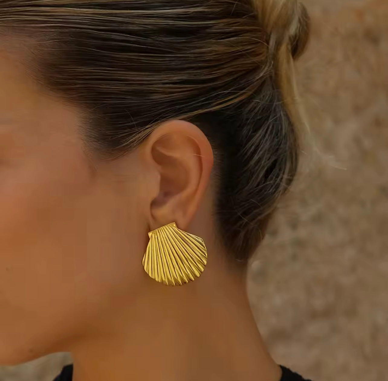 Scallop Stud Earrings
