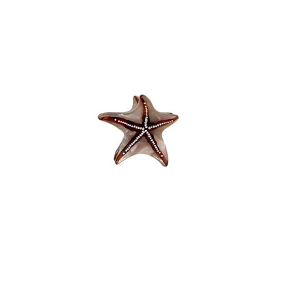 Starfish Hair Clip Large