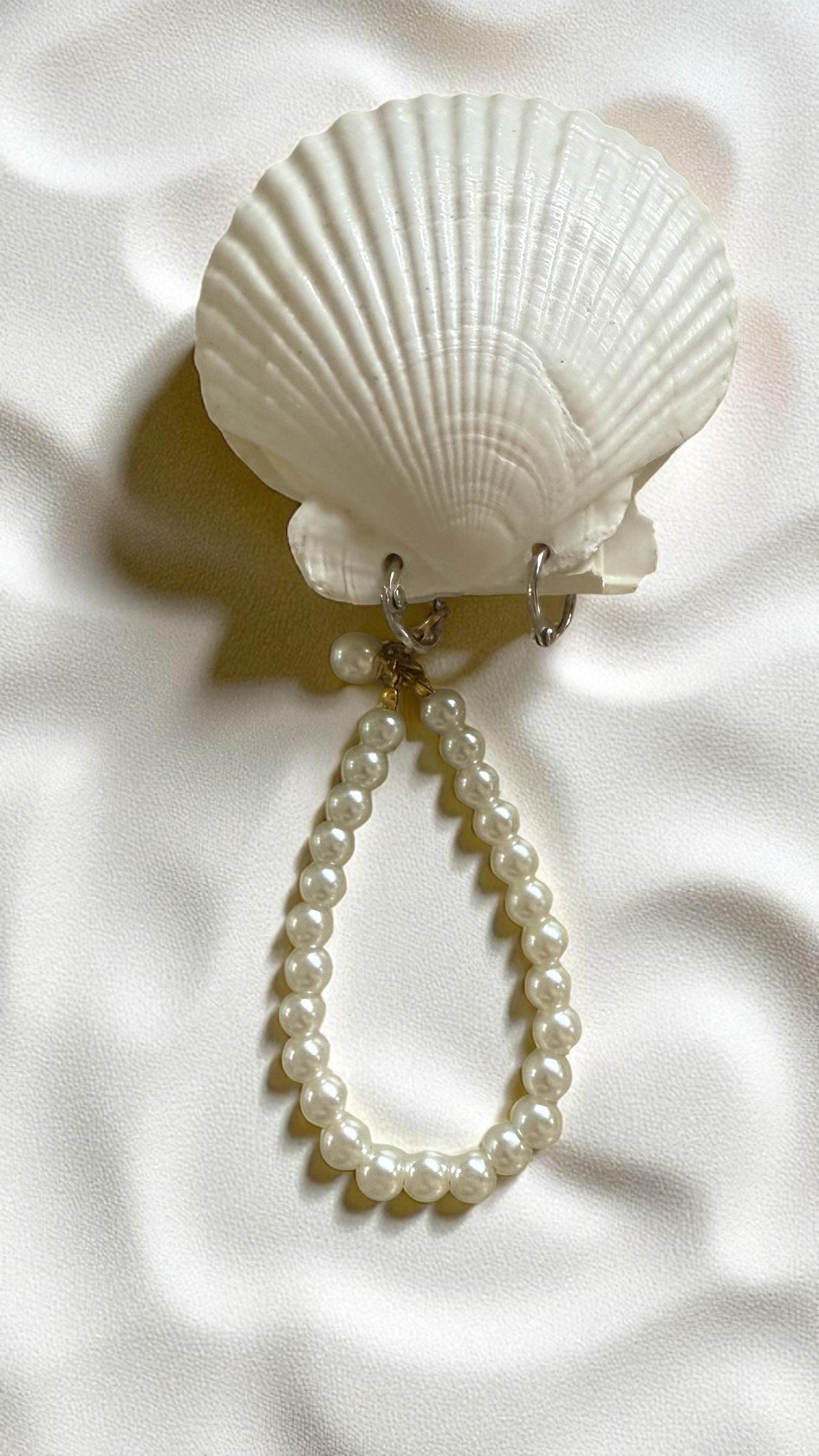 Shell Notebook