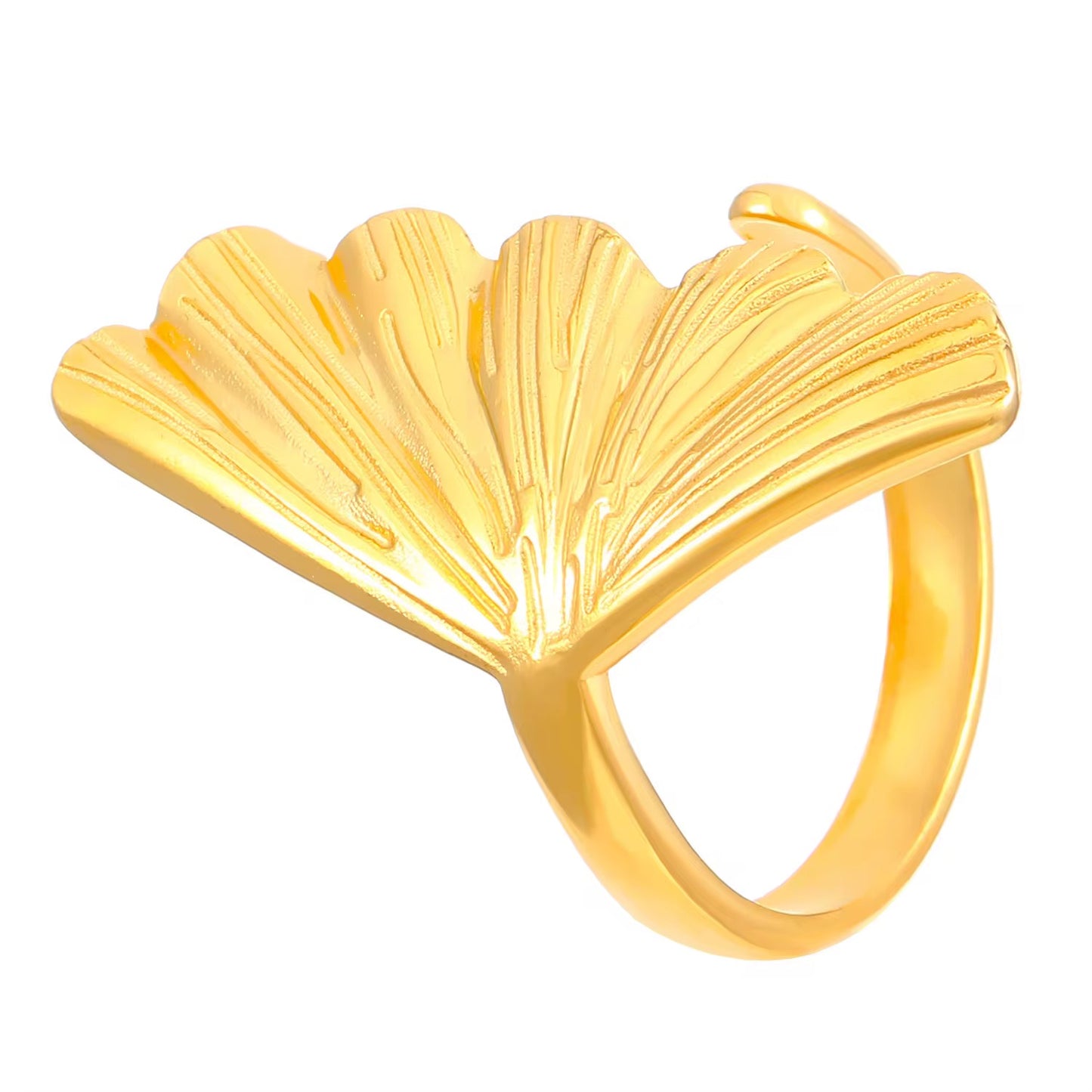 Shell Rings
