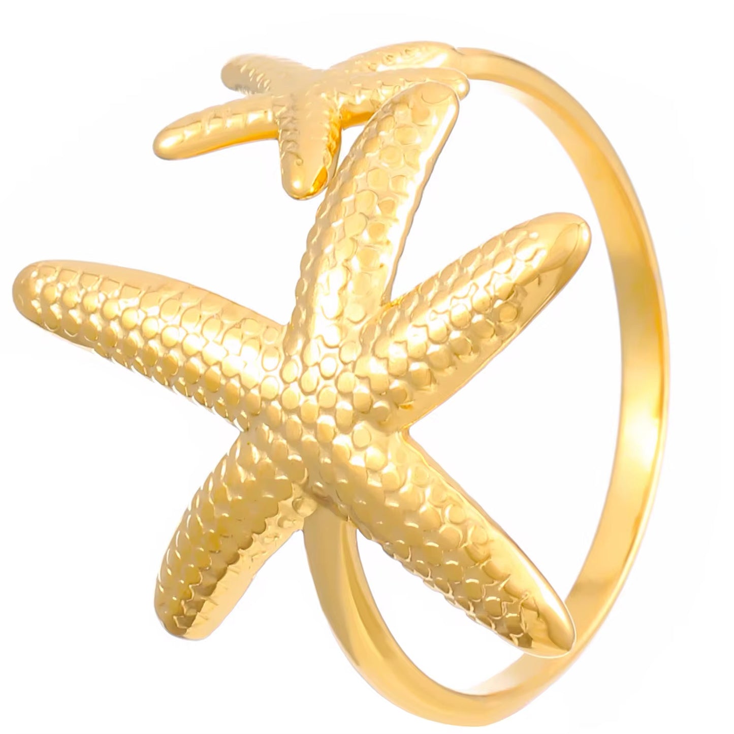 Shell Rings