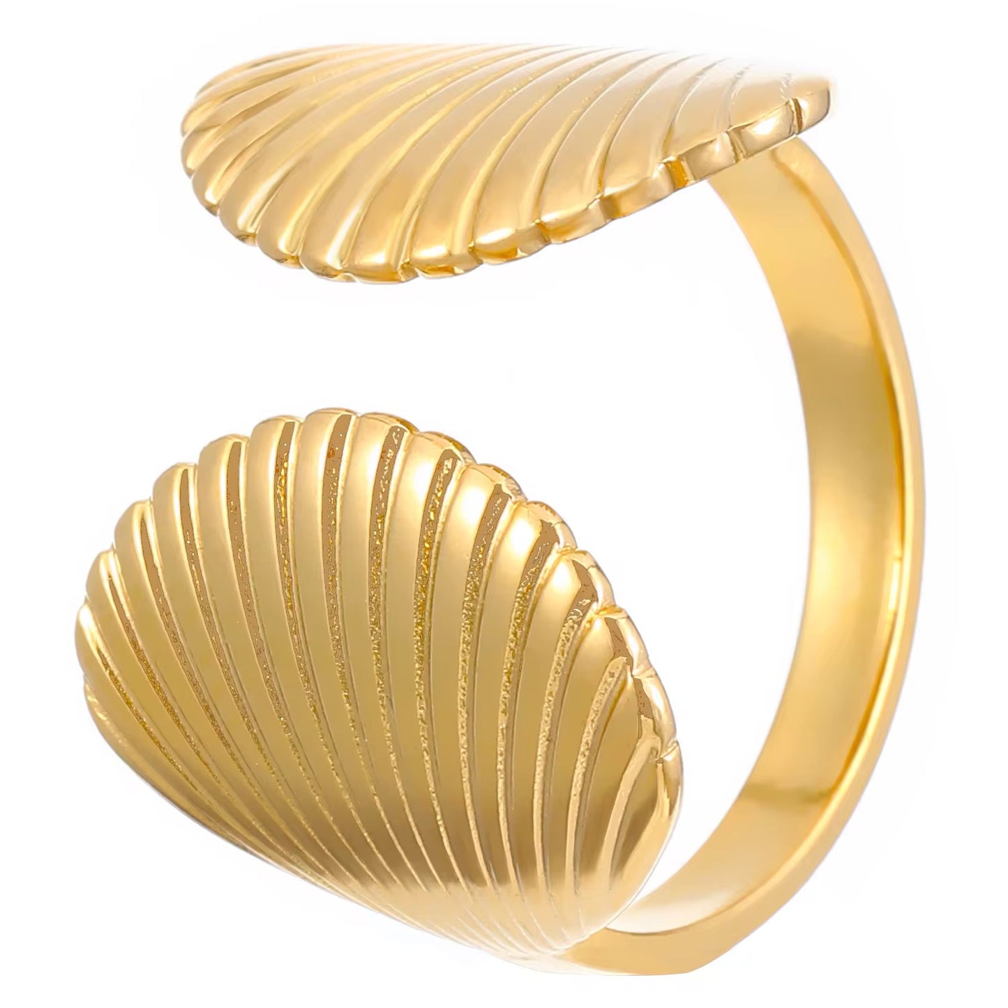 Shell Rings