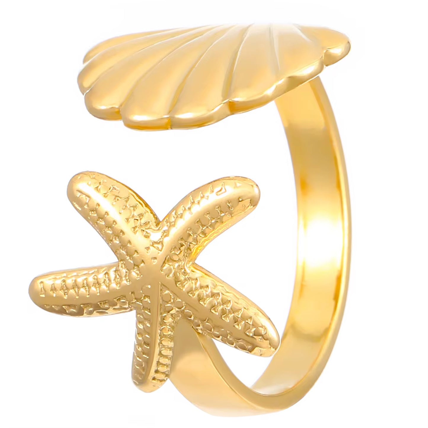 Shell Rings