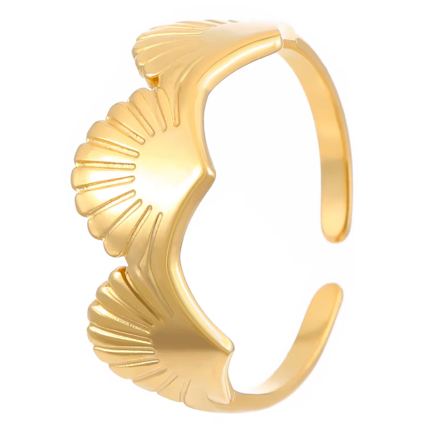 Shell Rings